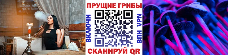 Псилоцибиновые грибы ЛСД  МЕГА зеркало  Себеж 